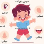 پوستر آموزشی حواس پنج‌گانه
